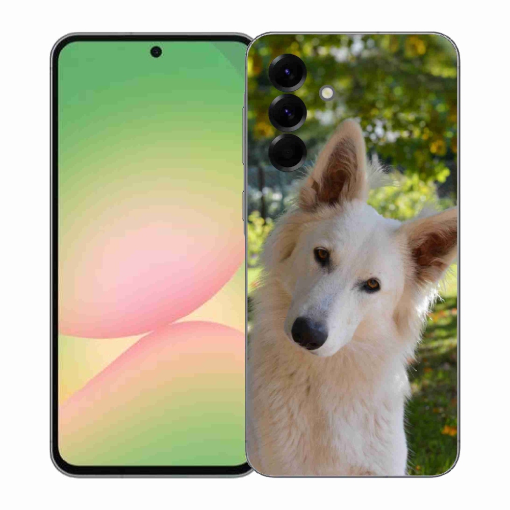 Gél védőhuzat mmCase Samsung Galaxy A57 5G - fehér Svájci juhász 1