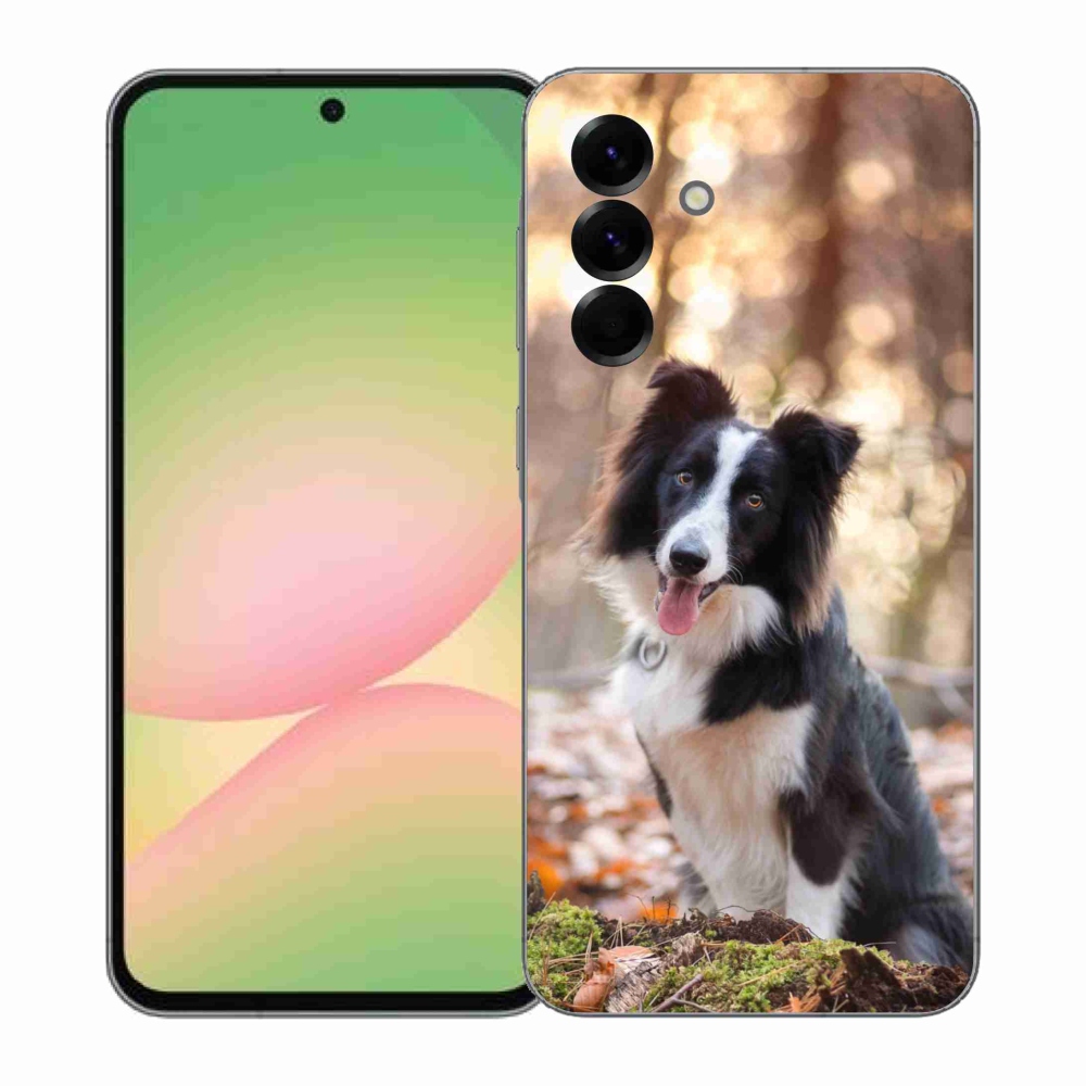 Gél borító mmCase Samsung Galaxy A57 5G - border colie 1