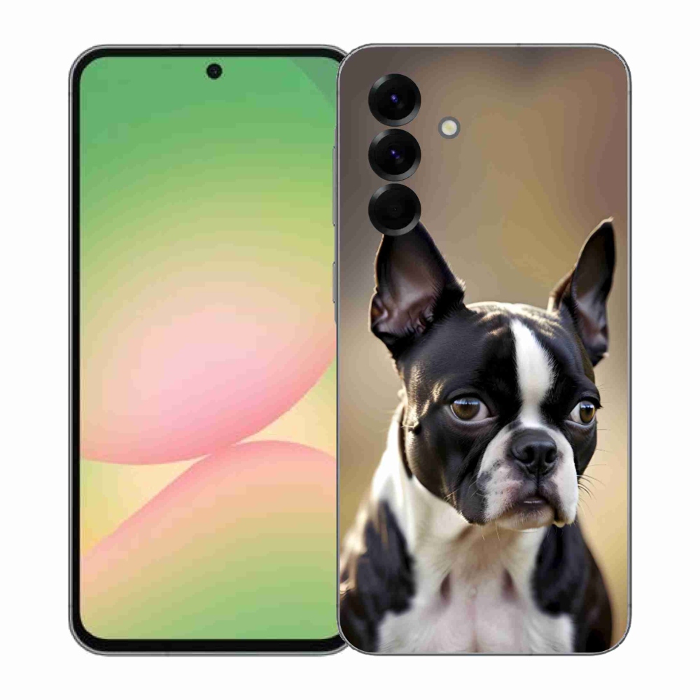 Gél borítás mmCase Samsung Galaxy A57 5G - Boston Terrier