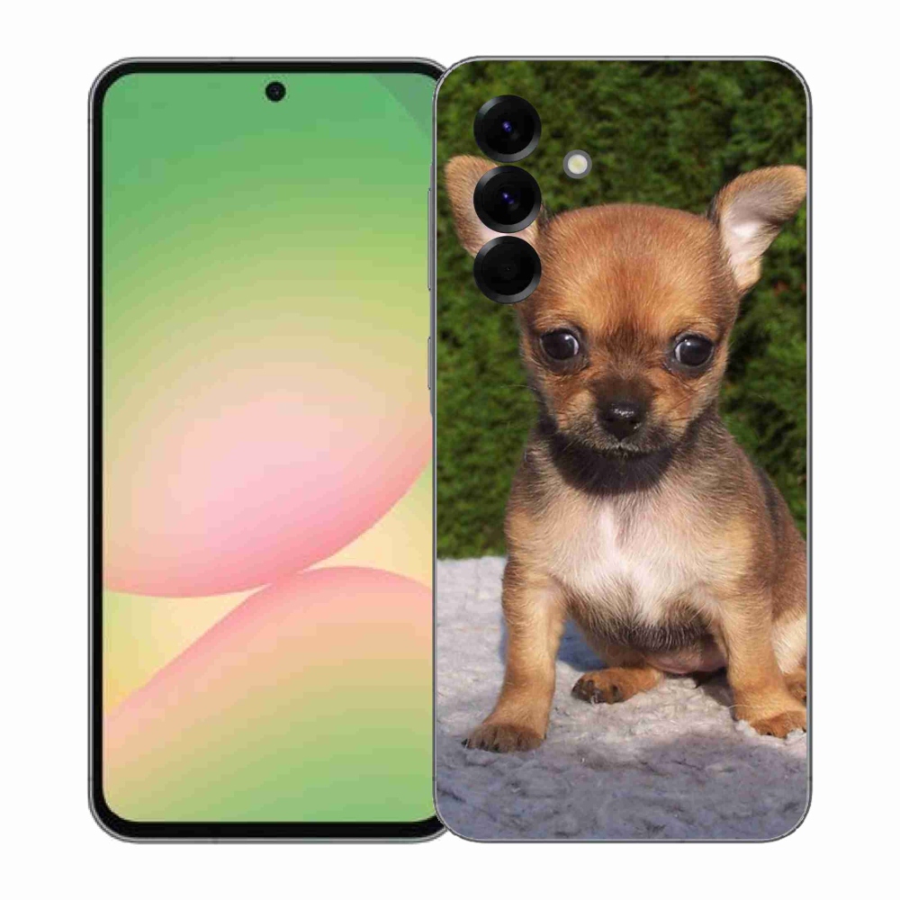 Gél borítás mmCase Samsung Galaxy A57 5G - chihuahua 3