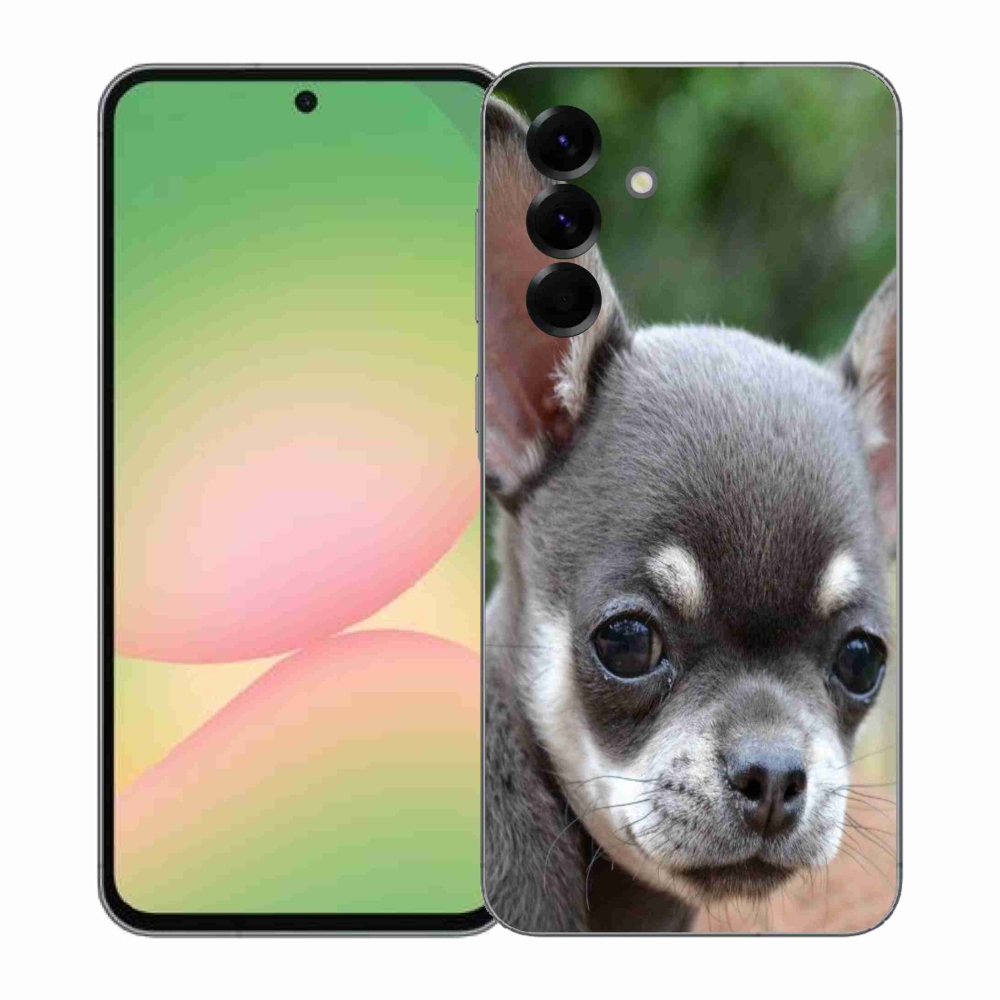 Gél borítás mmCase Samsung Galaxy A57 5G - chihuahua - Samsung Galaxy A57 5G - chihuahua
