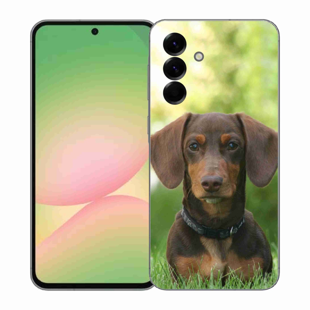 Zselés borítás mmCase Samsung Galaxy A57 5G - barna tacskóhoz