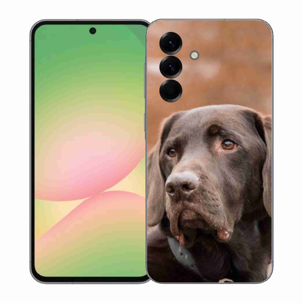 Zselés borítás mmCase Samsung Galaxy A57 5G - barna labrador