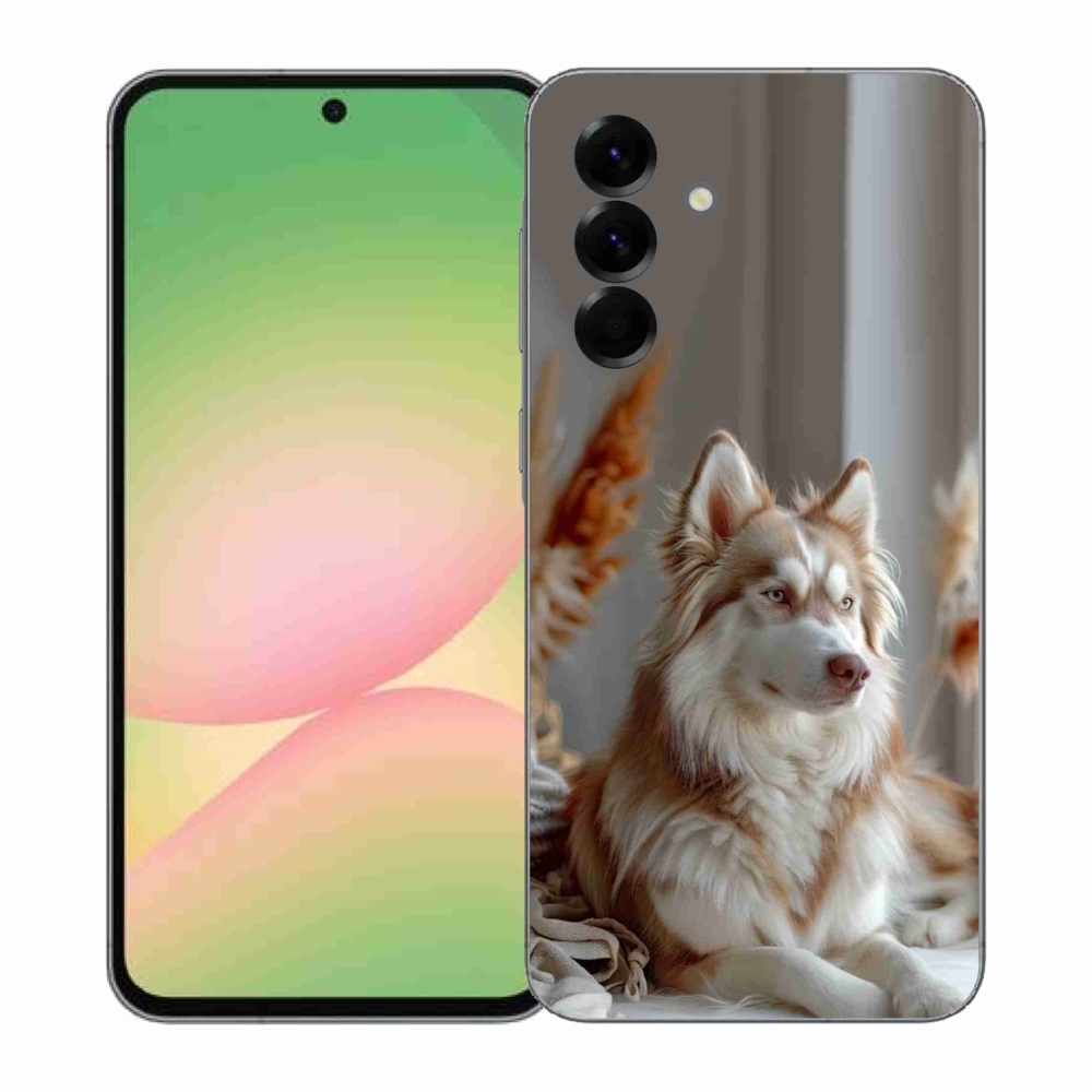 Zselés borítás mmCase Samsung Galaxy A57 5G - csendes szibériai husky