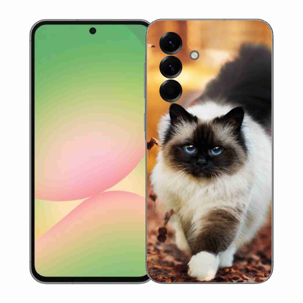 Zselés borítás mmCase Samsung Galaxy A57 5G - macska