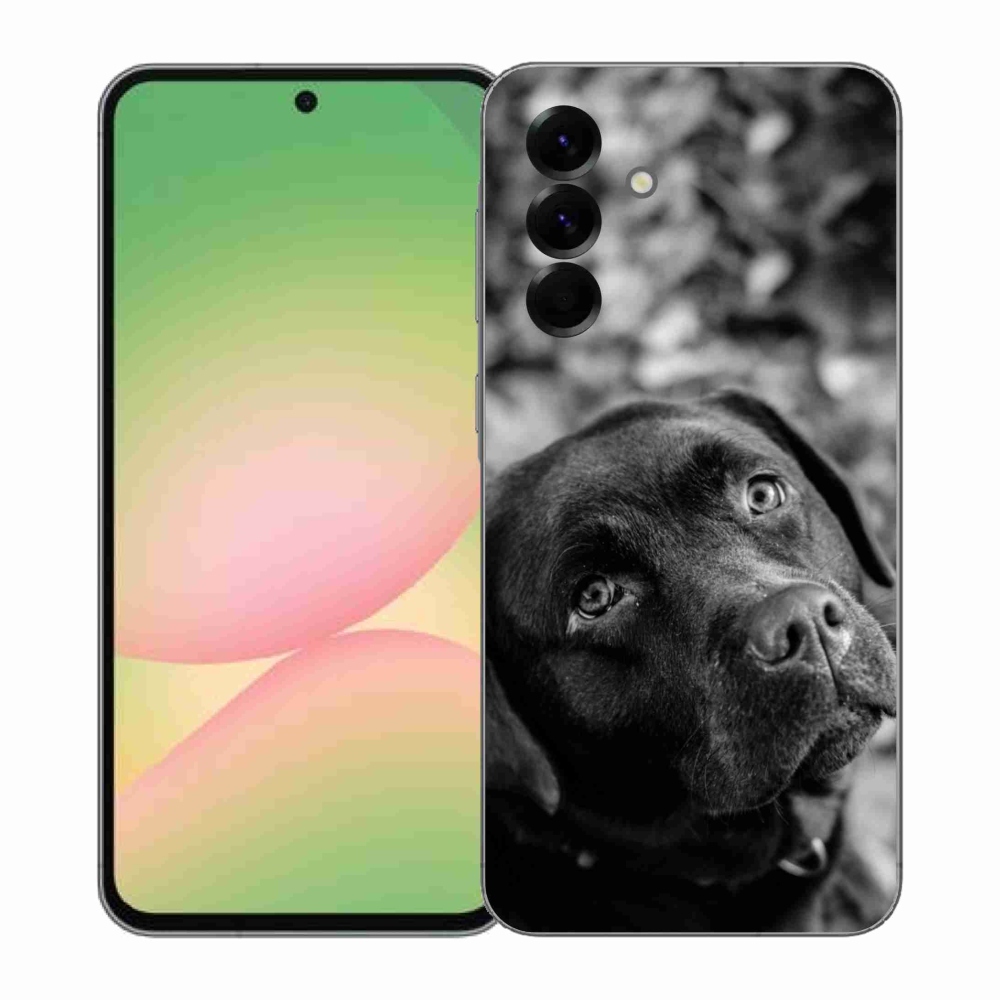 Gél borítás mmCase Samsung Galaxy A57 5G - labrador