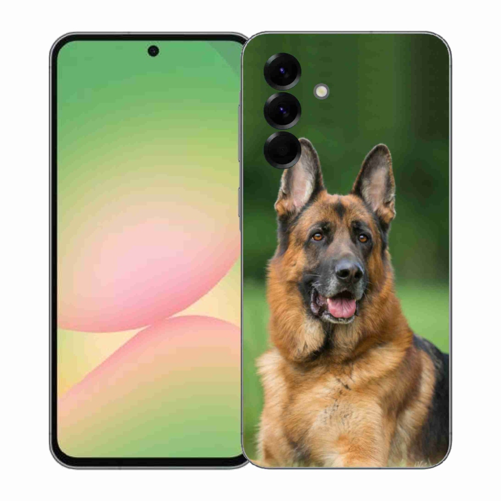 Zselés borítás mmCase Samsung Galaxy A57 5G - Német juhászkutya számára