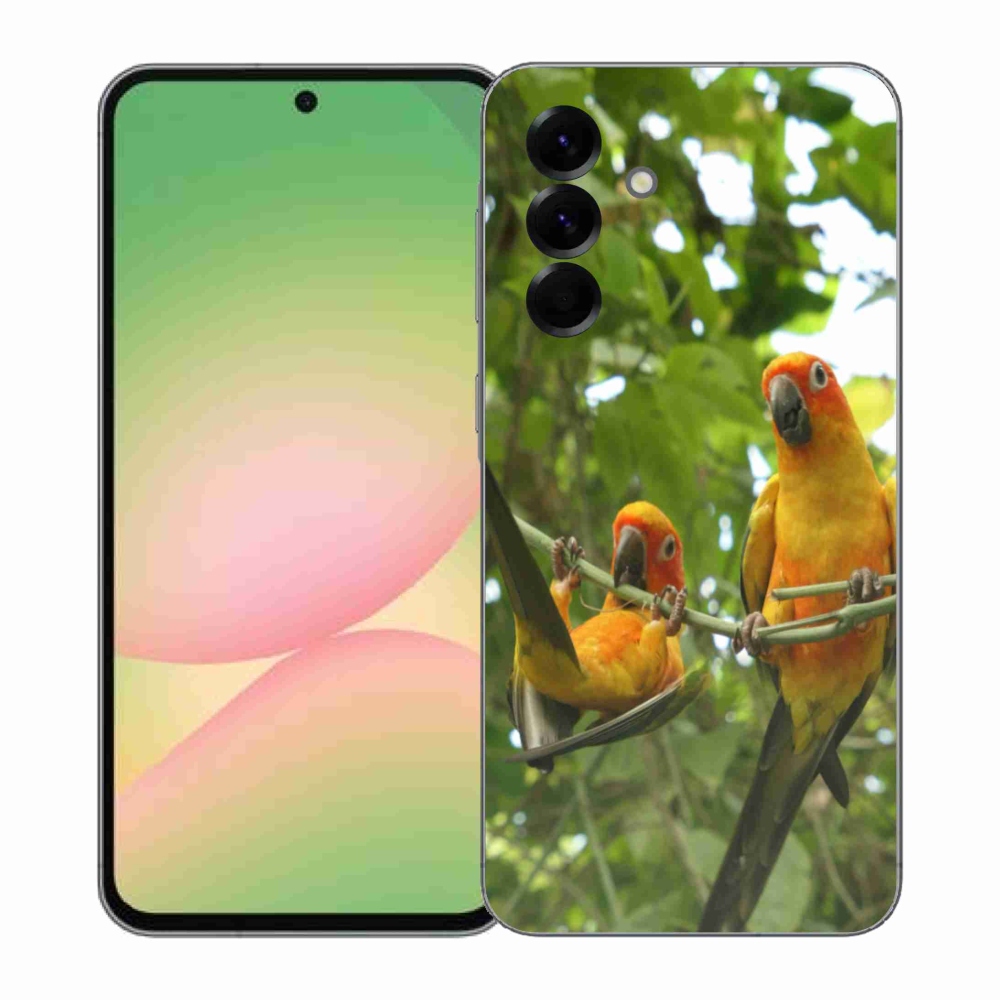 Gél borítás mmCase Samsung Galaxy A57 5G - papagájok aratingy