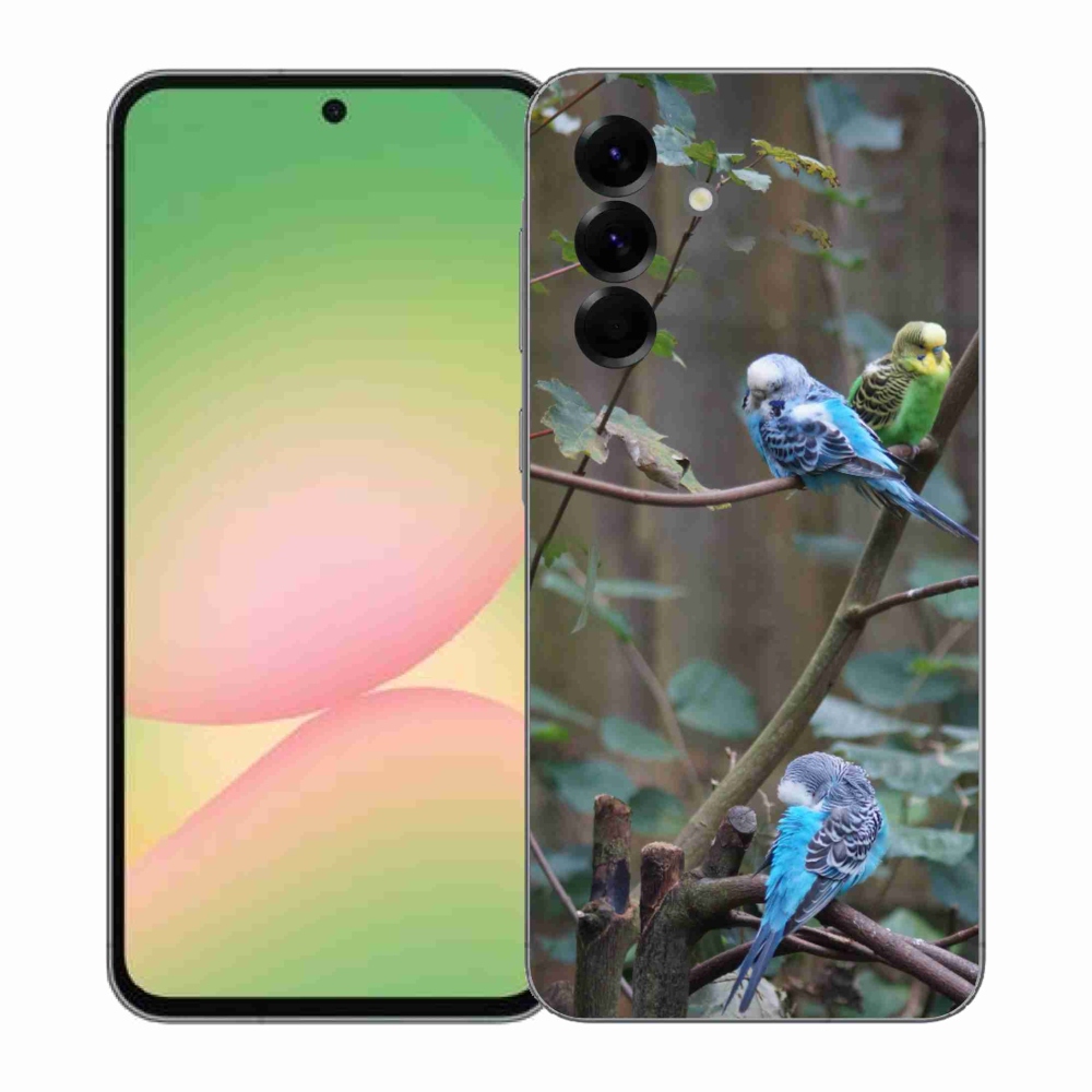 Zselés borító mmCase Samsung Galaxy A57 5G - papagájok az ágon