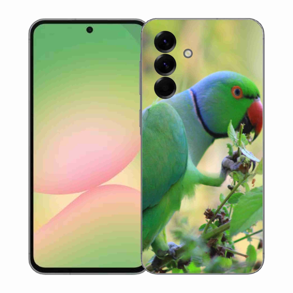 Zselés borítás mmCase Samsung Galaxy A57 5G - papagáj alexandr