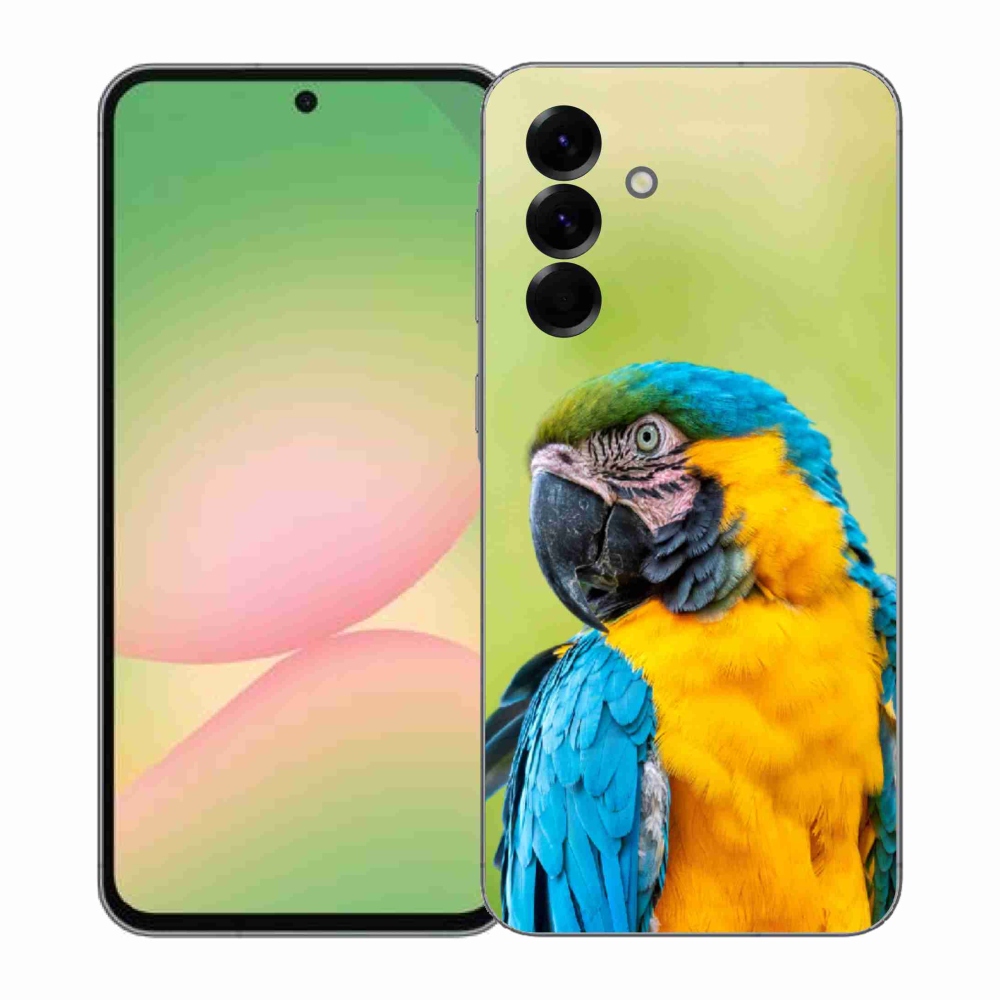 Gél borító mmCase Samsung Galaxy A57 5G - papagáj ara 2