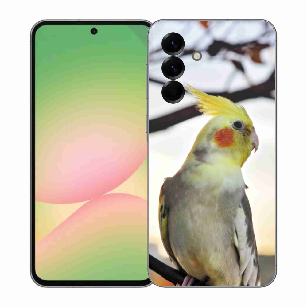 Gél borítás mmCase Samsung Galaxy A57 5G - papagáj korela
