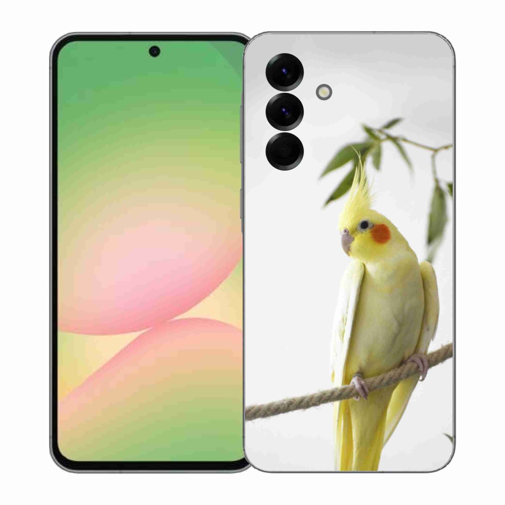 Gél borítás mmCase Samsung Galaxy A57 5G - papagáj korela chocholatá