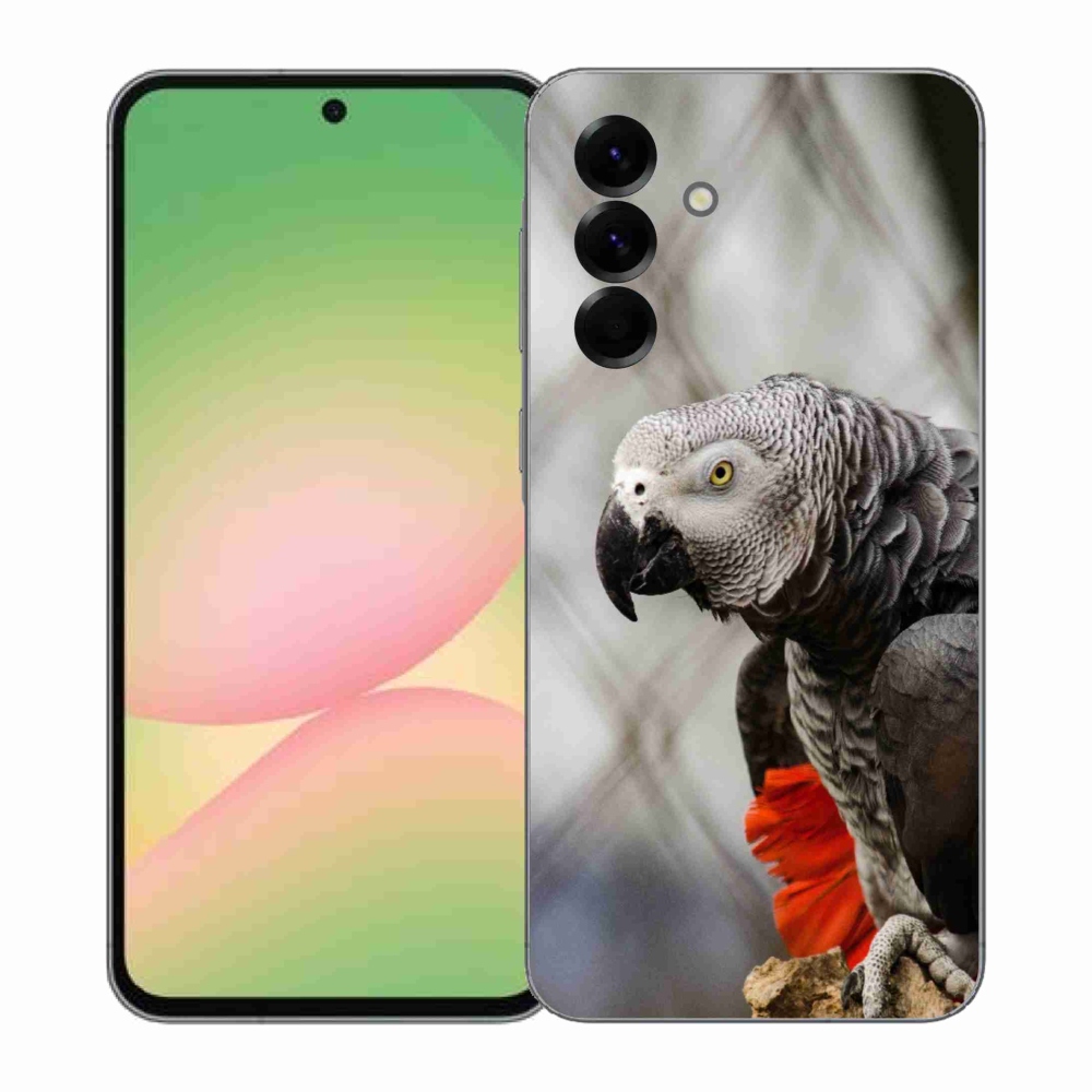 Zselés borítás mmCase Samsung Galaxy A57 5G - papagáj jacco 3