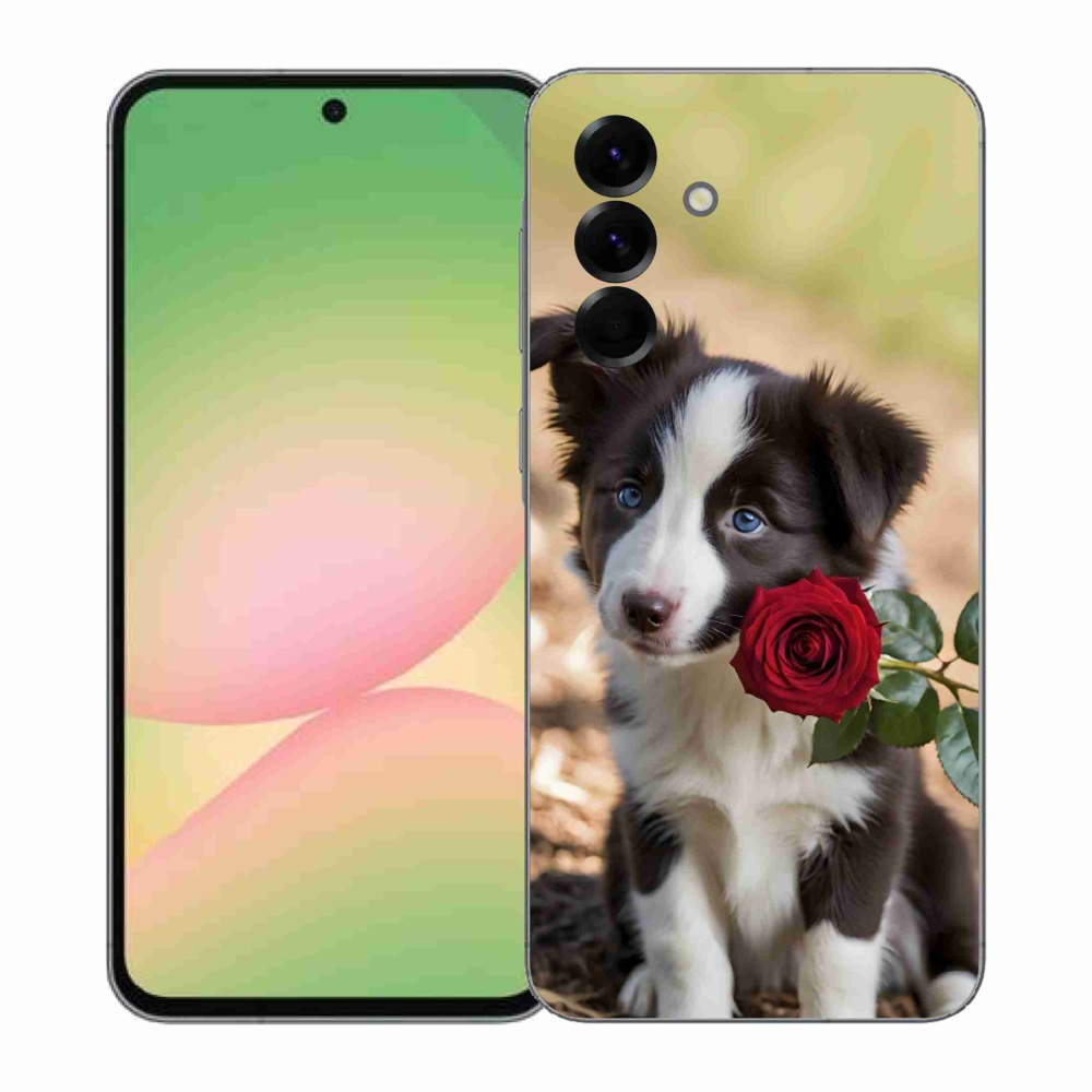 Gél borítás mmCase Samsung Galaxy A57 5G - aranyos border collie rózsával