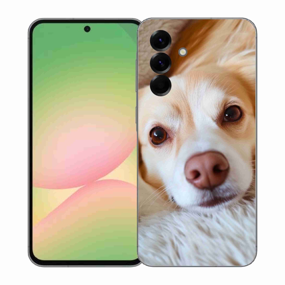 Gél borítás mmCase Samsung Galaxy A57 5G - Aranyos csivava - Samsung Galaxy A57 5G - Cuki csivava