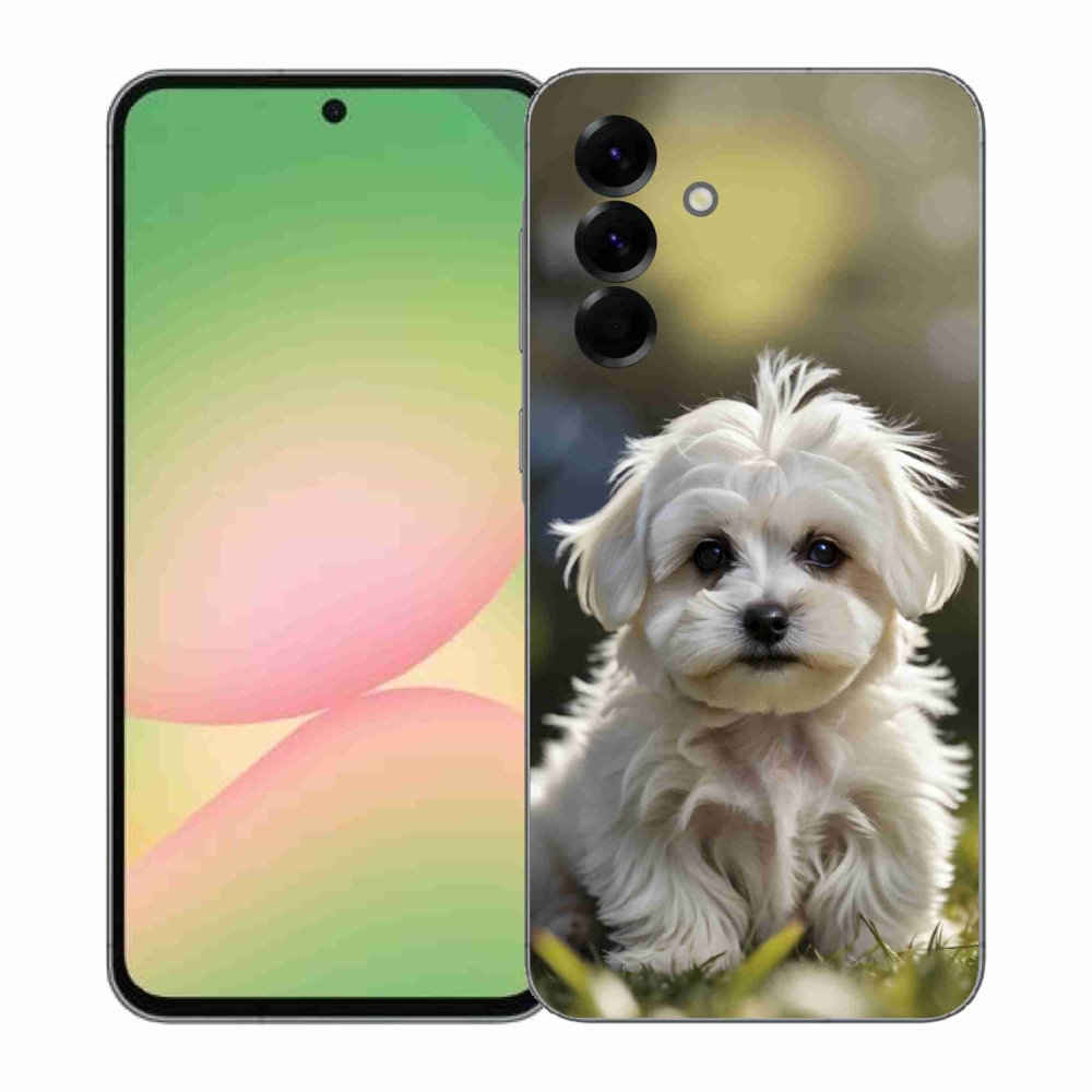 Gél borítás mmCase Samsung Galaxy A57 5G - aranyos máltai kutya