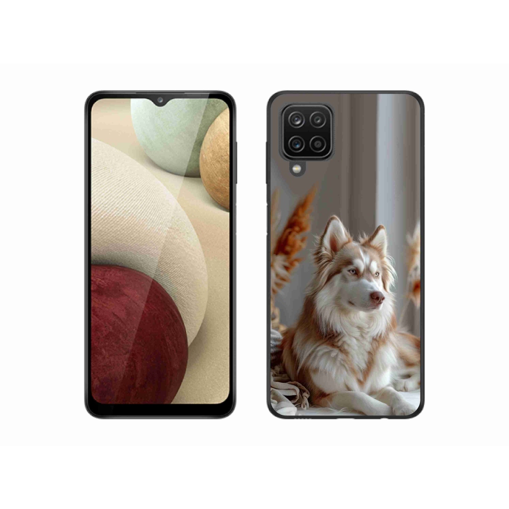 Gél borítás mmCase Samsung Galaxy M12 készülékhez - csendes szibériai husky