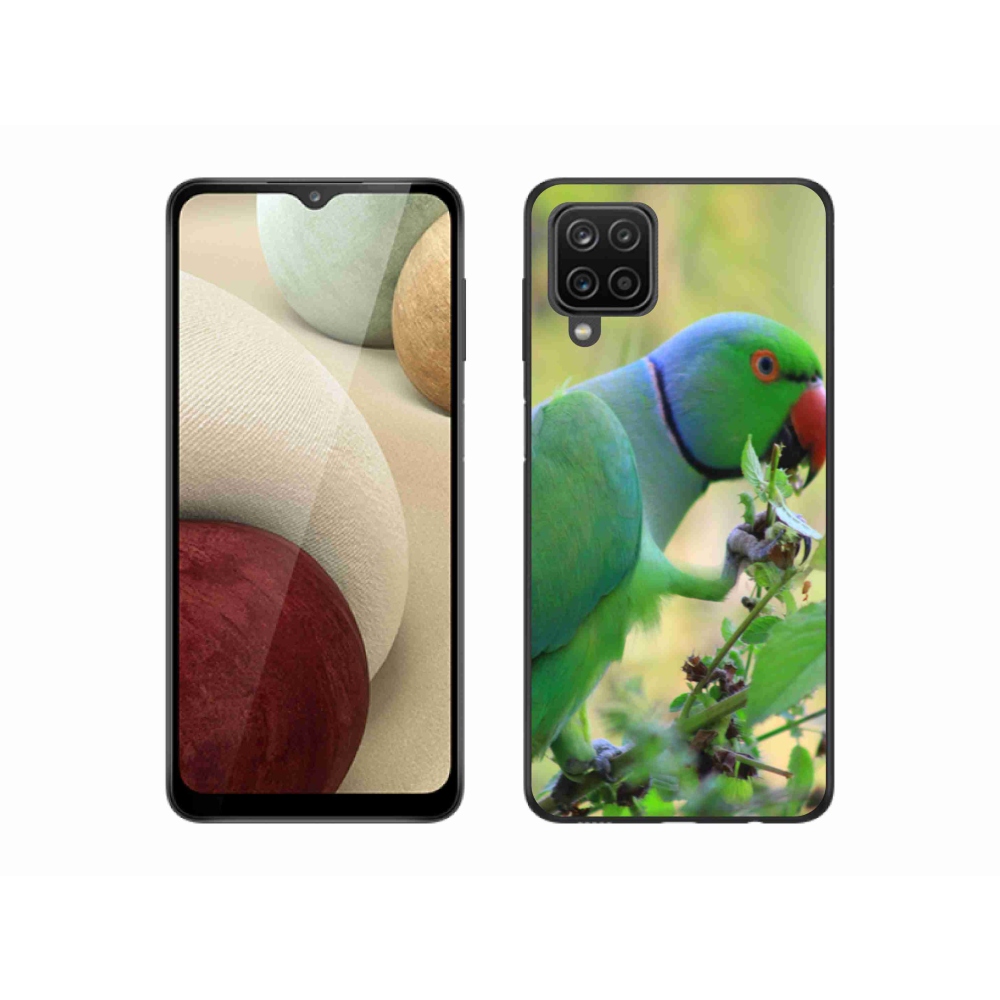 Zselés borítás mmCase Samsung Galaxy M12 készülékhez - papagáj alexandr