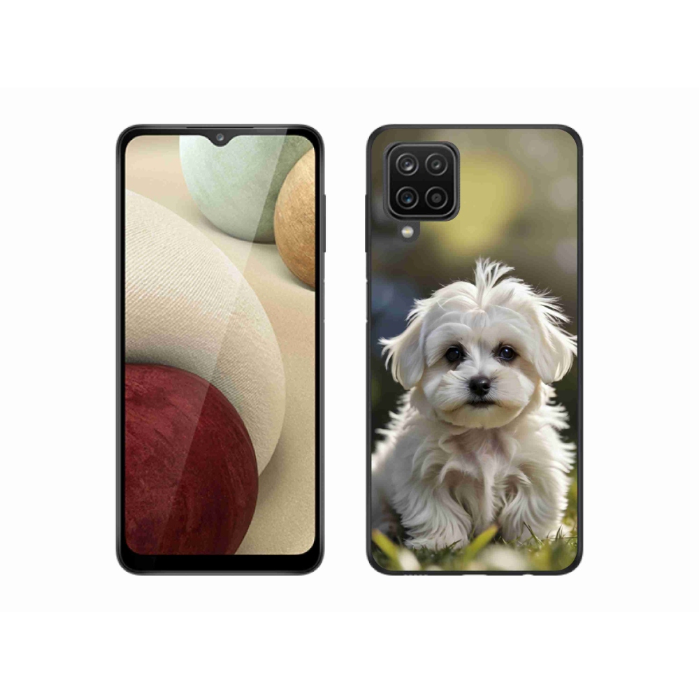 Gél borítás mmCase Samsung Galaxy M12 készülékhez - aranyos máltai kutya