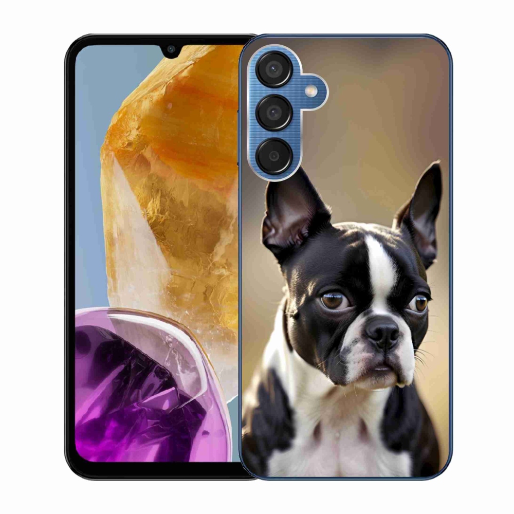 Gél borítás mmCase Samsung Galaxy M15 5G készülékhez - Boston Terrier