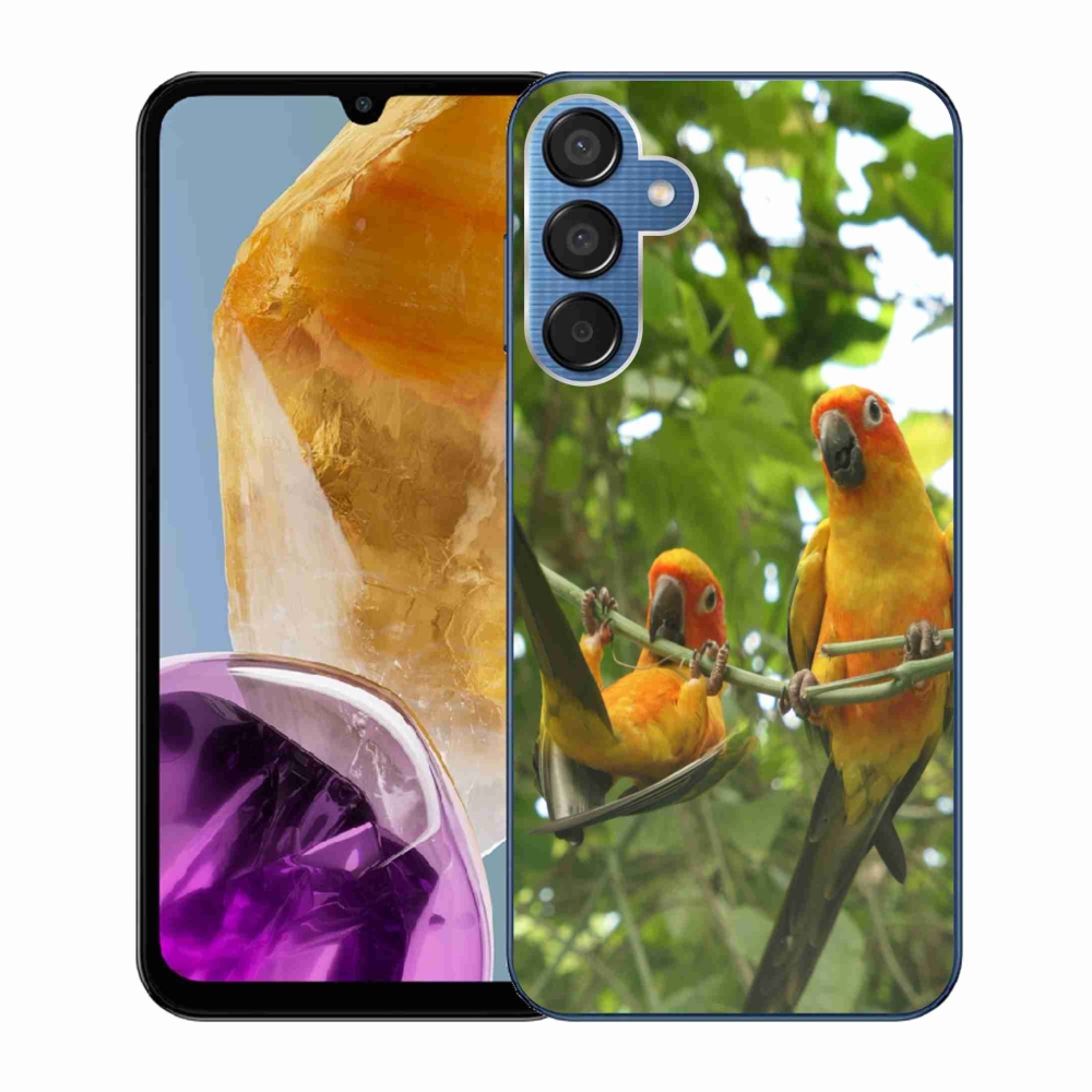 Gél borítás mmCase Samsung Galaxy M15 5G - papagájok aratingy