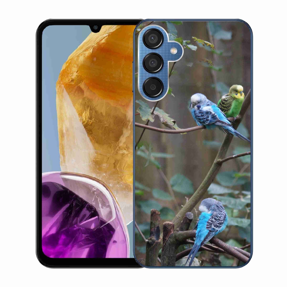 Zselés borító mmCase Samsung Galaxy M15 5G - papagájok az ágon