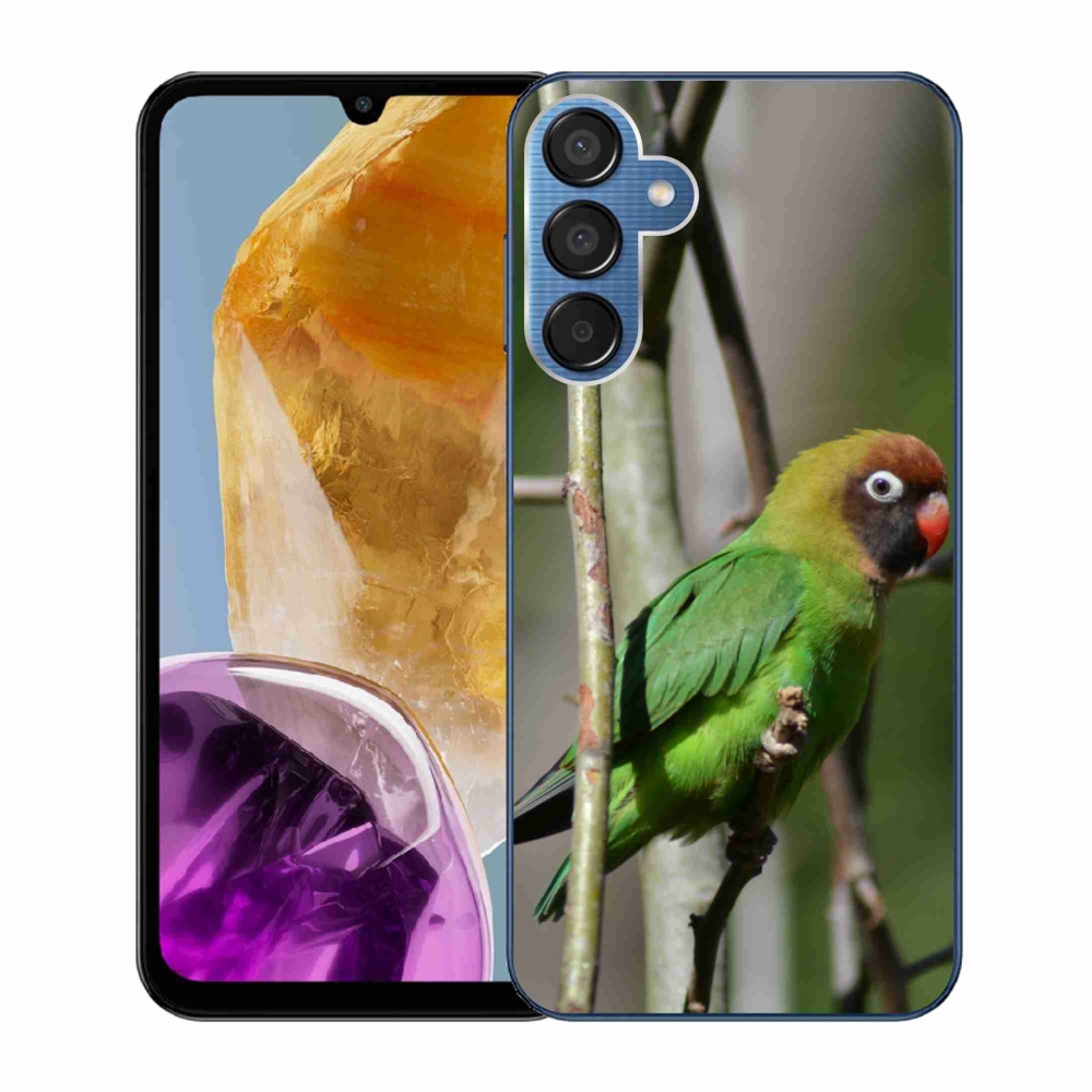 Gél borítás mmCase Samsung Galaxy M15 5G - papagáj agapornis