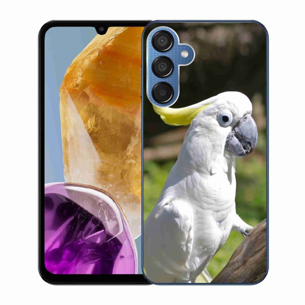 Zselés borítás mmCase Samsung Galaxy M15 5G - papagáj kakadu 2