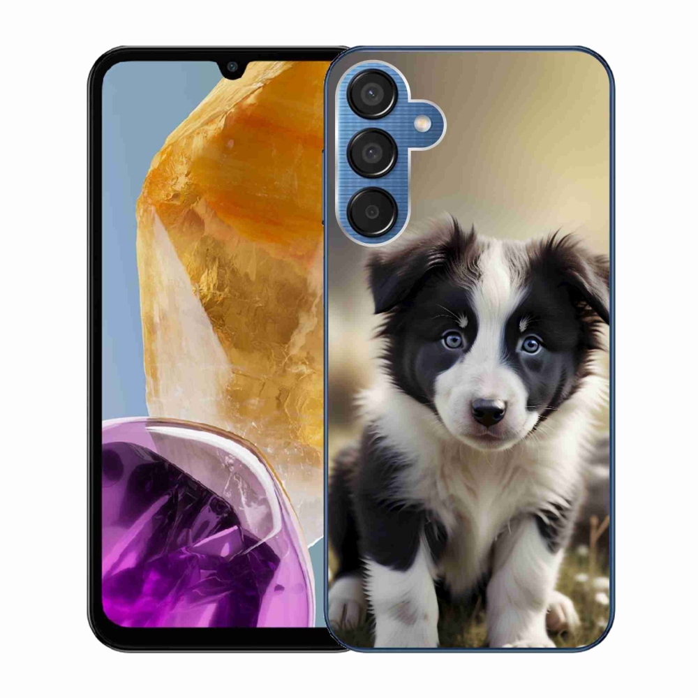 Gél borító mmCase Samsung Galaxy M15 5G - aranyos border collie - Samsung Galaxy M15 5G számára