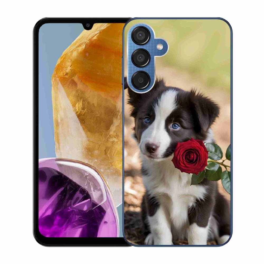 Gél borítás mmCase Samsung Galaxy M15 5G - aranyos border collie rózsával