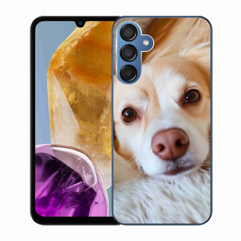 Gél borítás mmCase Samsung Galaxy M15 5G - Aranyos csivava - Samsung Galaxy M15 5G - Cuki csivava