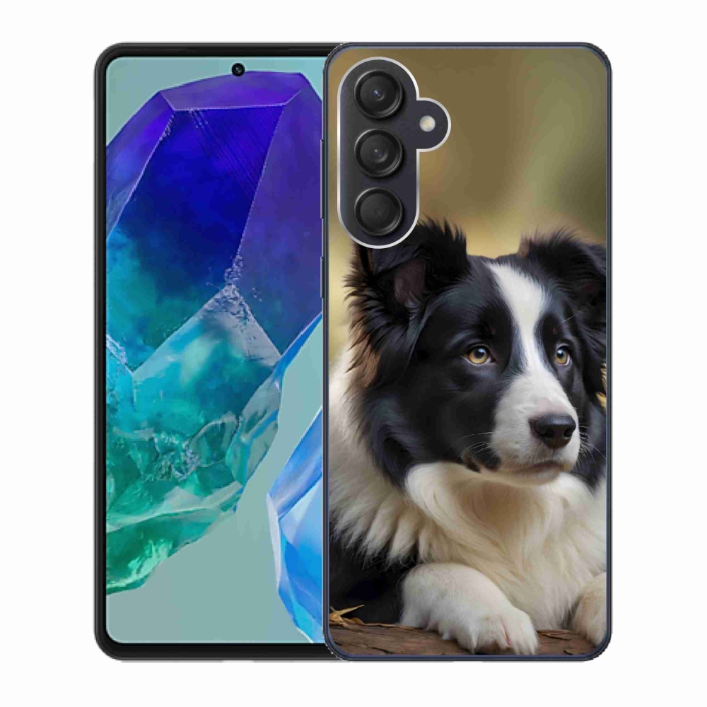 Gél borító mmCase Samsung Galaxy M55 5G - border colie 2