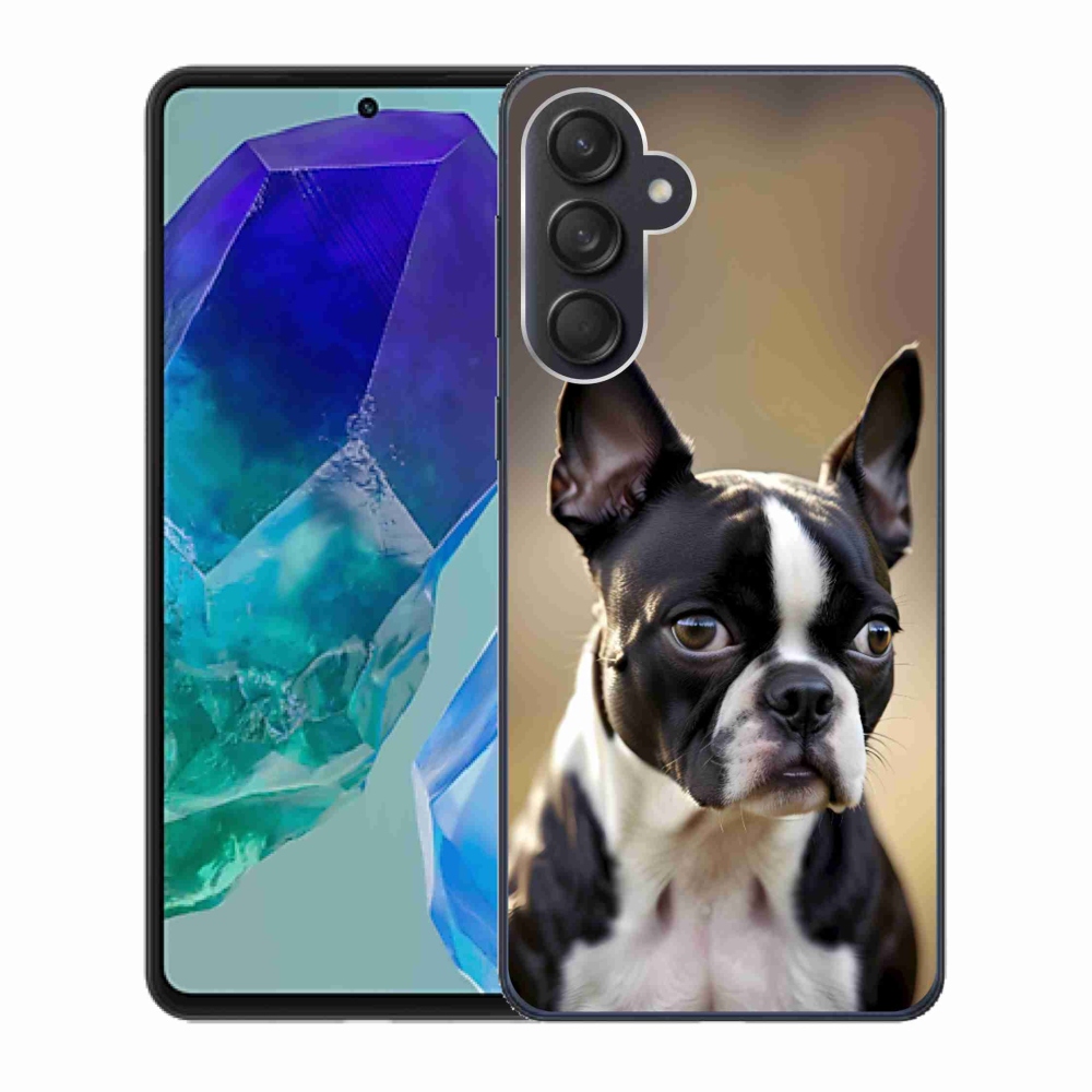 Gél borítás mmCase Samsung Galaxy M55 5G - Boston Terrier