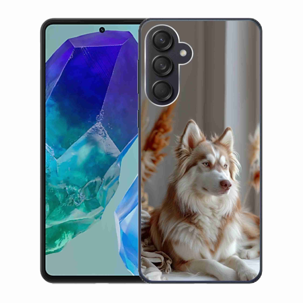 Zselés borítás mmCase Samsung Galaxy M55 5G - csendes szibériai husky