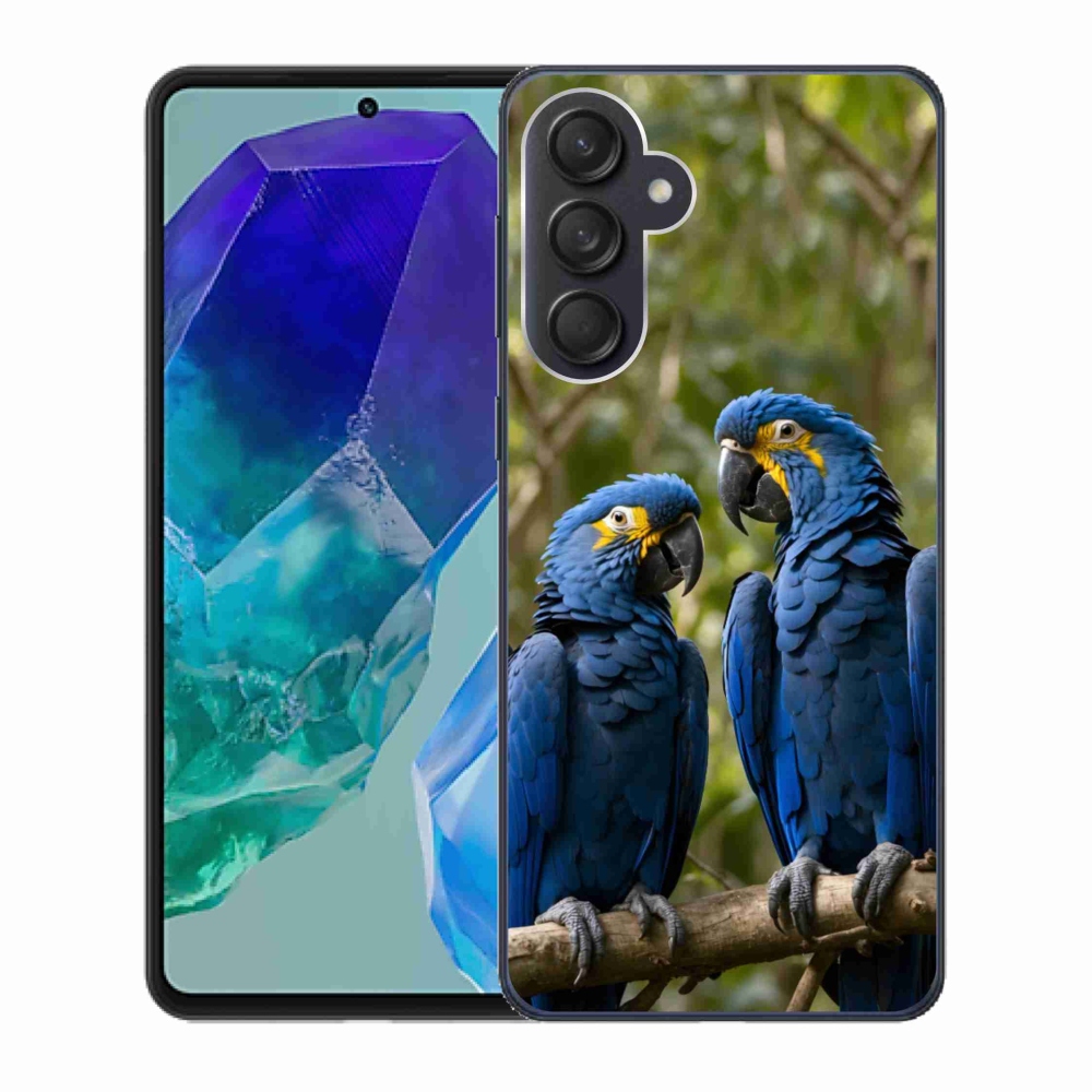 Zselés borítás mmCase Samsung Galaxy M55 5G - papagáj duó számára