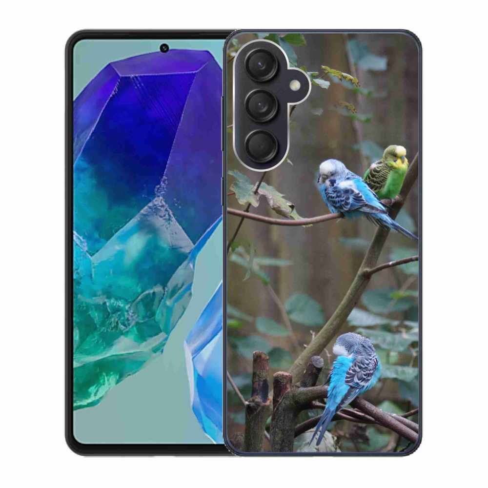 Zselés borító mmCase Samsung Galaxy M55 5G - papagájok az ágon
