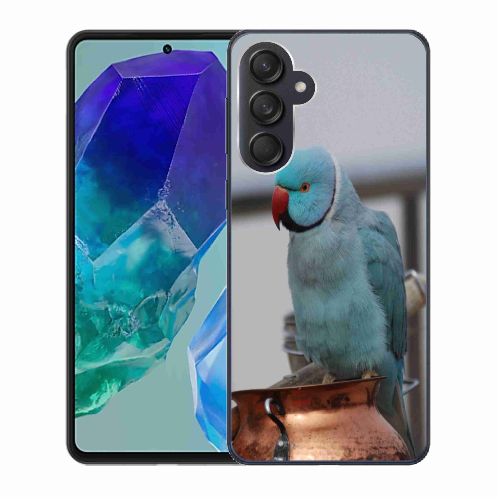Zselés borítás mmCase Samsung Galaxy M55 5G - papagáj alexander kék