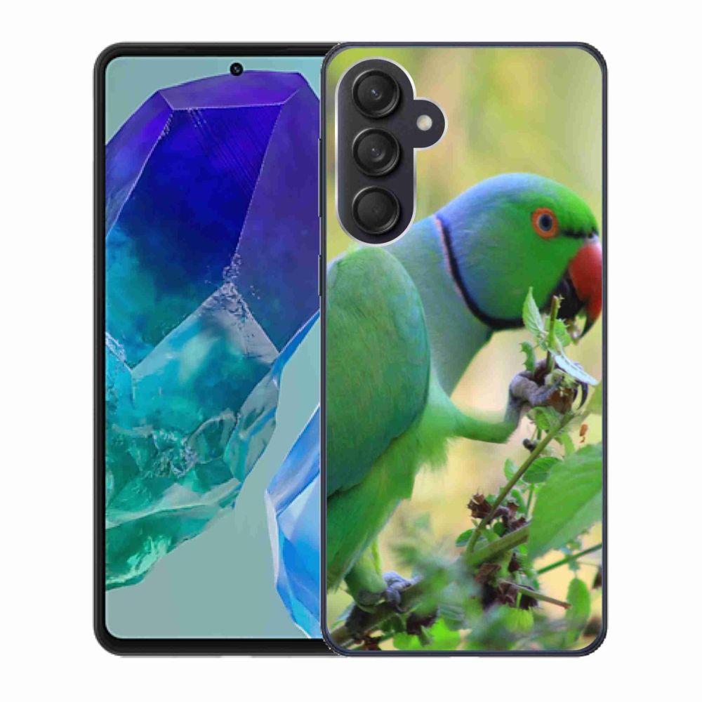 Zselés borítás mmCase Samsung Galaxy M55 5G - papagáj alexandr