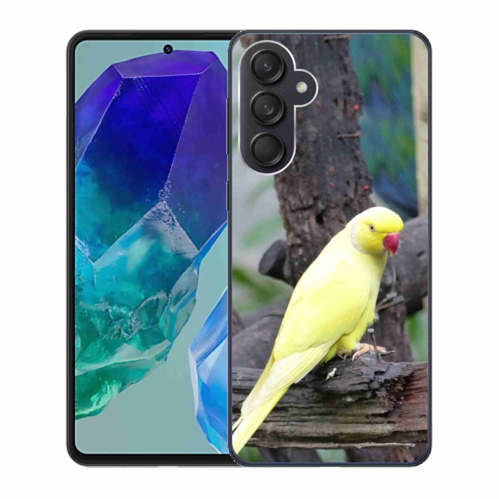 Zselés borítás mmCase Samsung Galaxy M55 5G - papagáj alexander sárga