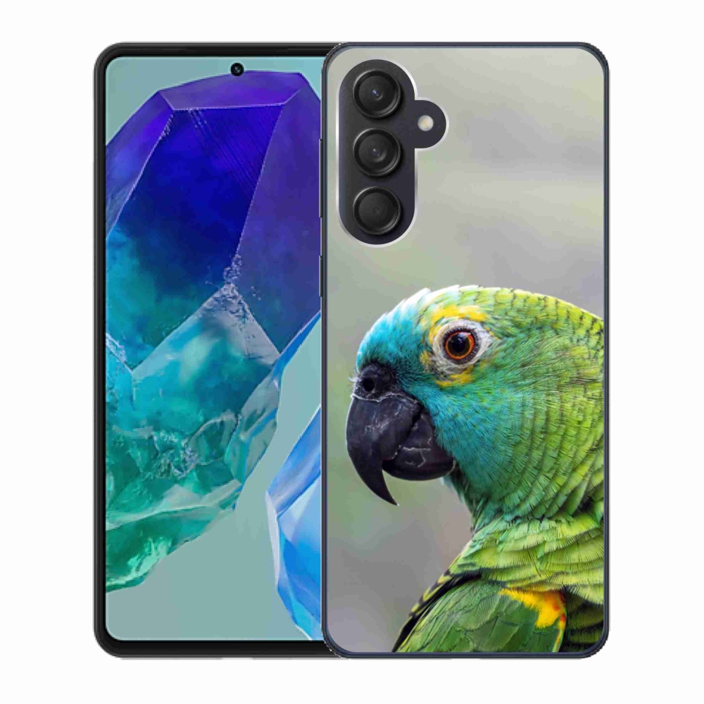 Gél védőhuzat mmCase Samsung Galaxy M55 5G - papagáj amazon