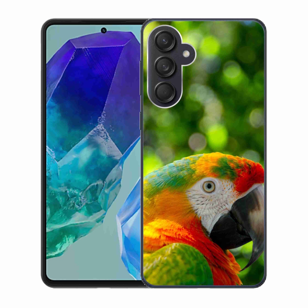 Gél borító mmCase Samsung Galaxy M55 5G - papagáj ara 3