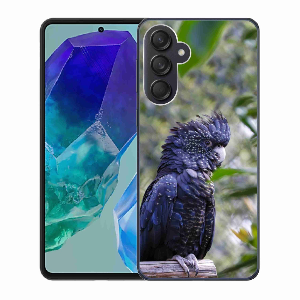 Zselés borítás mmCase Samsung Galaxy M55 5G - papagáj kakadu fekete