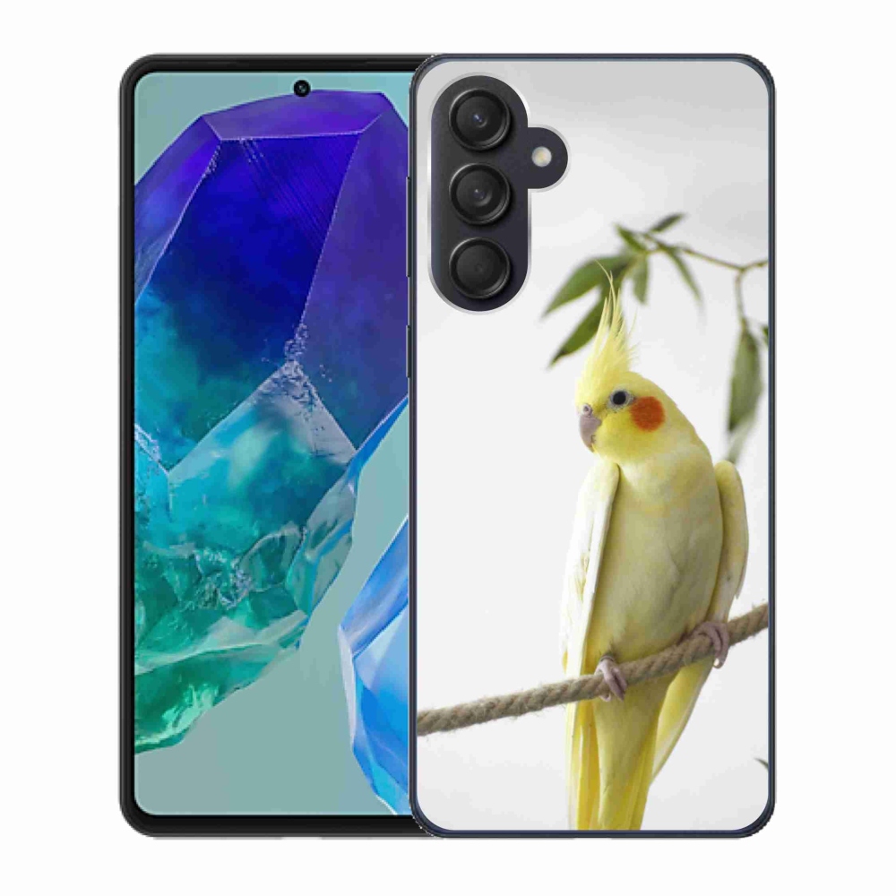 Gél borító mmCase Samsung Galaxy M55 5G - papagáj korela chocholatá