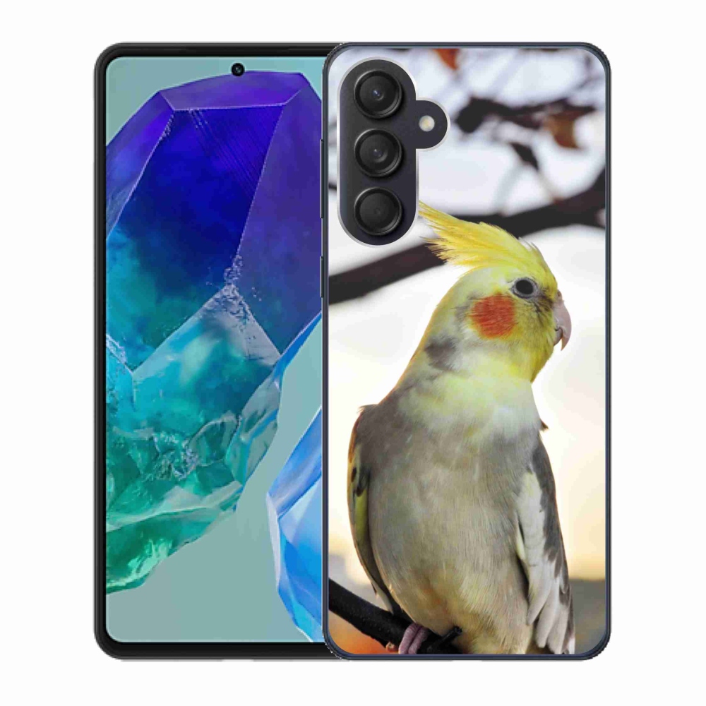 Gél borítás mmCase Samsung Galaxy M55 5G - papagáj korela