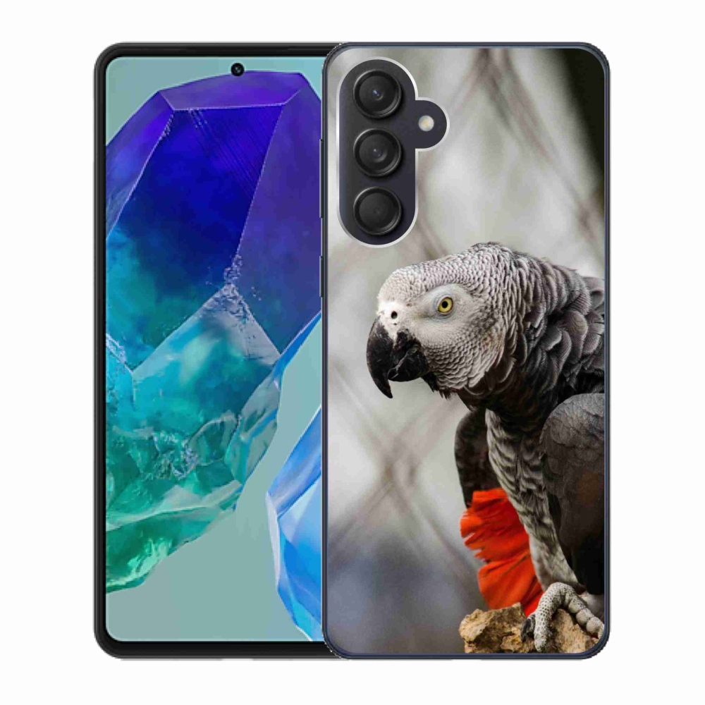 Zselés borítás mmCase Samsung Galaxy M55 5G - papagáj jacco 3