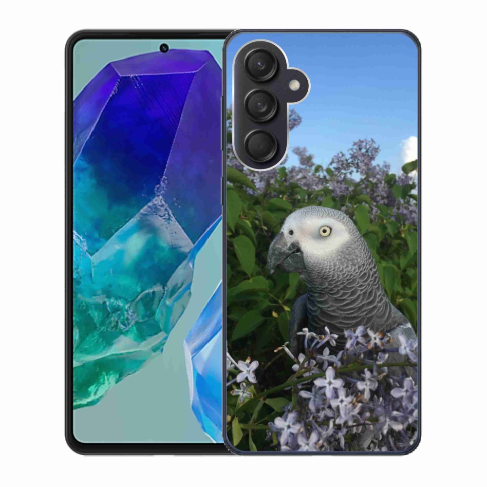 Gél borítás mmCase Samsung Galaxy M55 5G készülékhez - parrot jacco