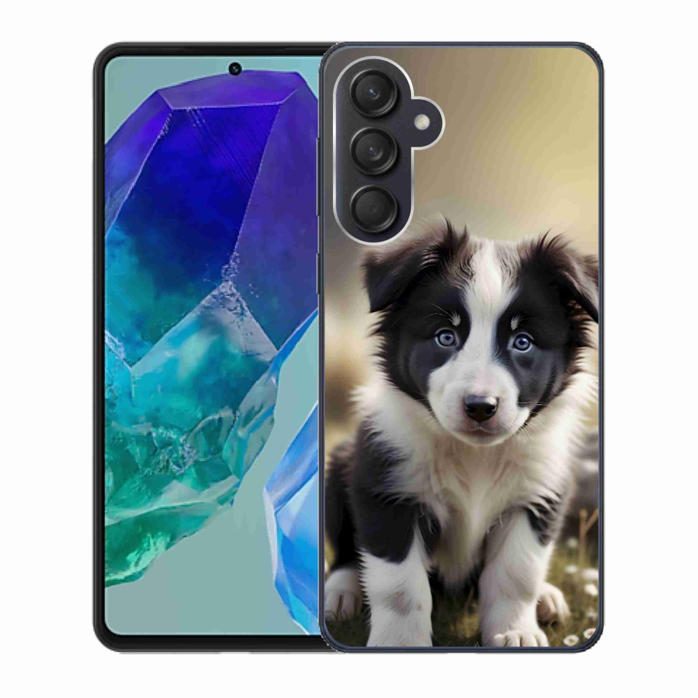 Gél borító mmCase Samsung Galaxy M55 5G - aranyos border collie - Samsung Galaxy M55 5G számára