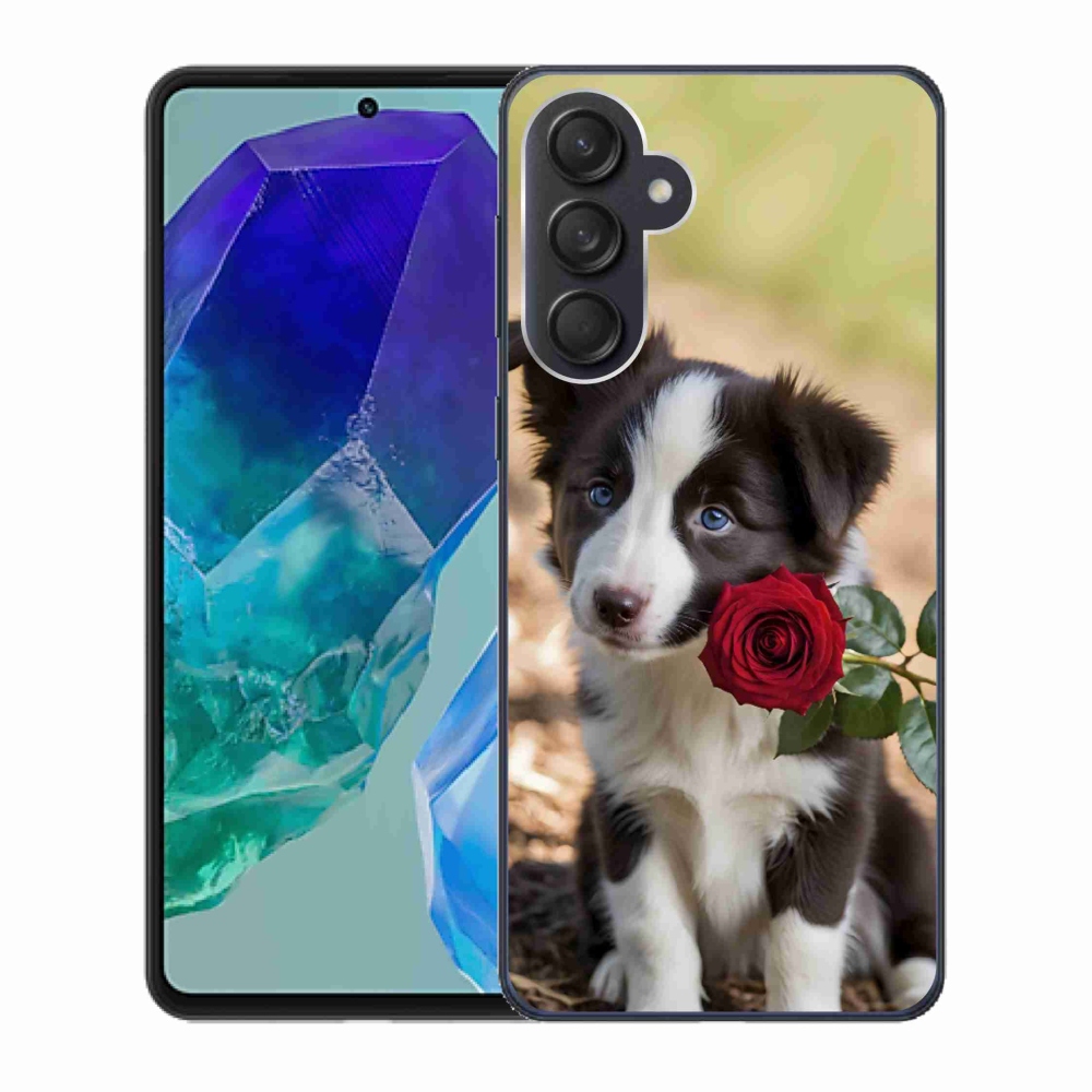 Gél borítás mmCase Samsung Galaxy M55 5G - aranyos border collie rózsával