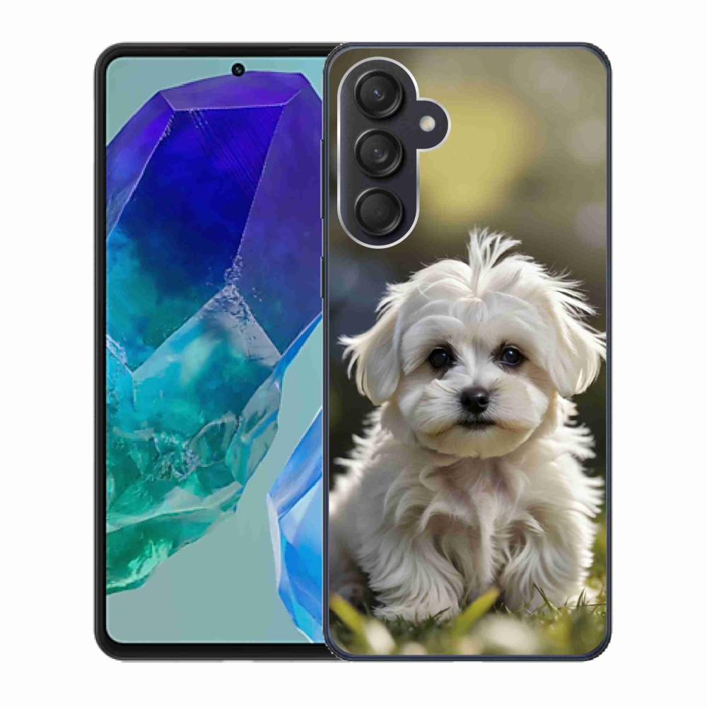 Gél borítás mmCase Samsung Galaxy M55 5G - aranyos máltai kutya